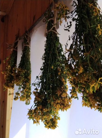 Пучки из зверобоя