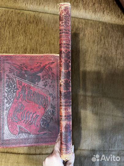 Живописная Россия Том 8., ч. 2