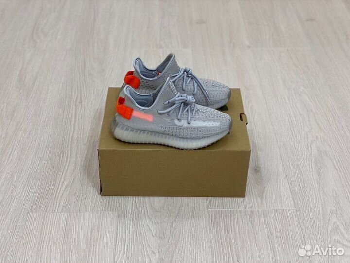 Кроссовки Adidas Yeezy Boost 350 v2 Tail Light