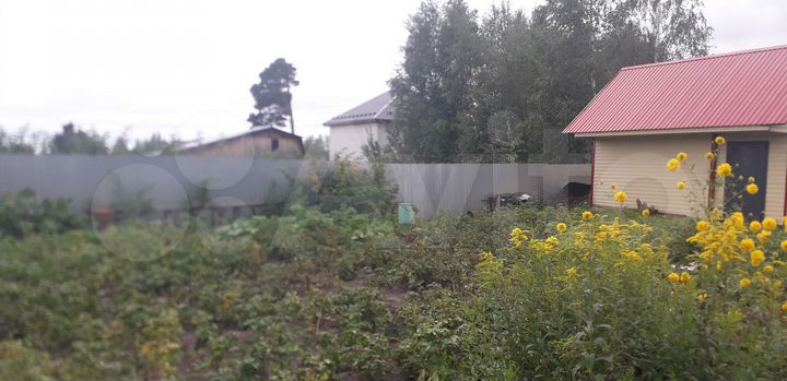 Участок 5,5 сот. (СНТ, ДНП)