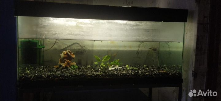 Аквариум