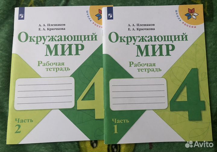 Окружающий мир Рабочие тетради 4 класс