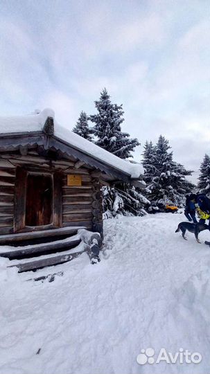 Туры на снегоходах в Карелии 2023г от 1часа-5дне