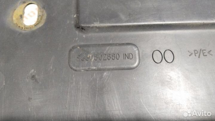 Защита бампера передняя Peugeot 407 купе ES9A 2007