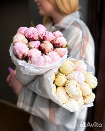 Букет пионов розовых, белых оптом