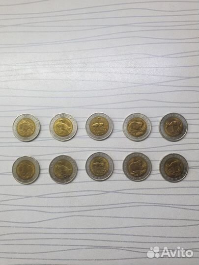 Монеты, красная книга, набор