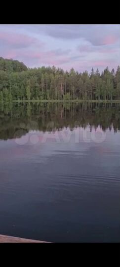 Участок 6 га (СНТ, ДНП)