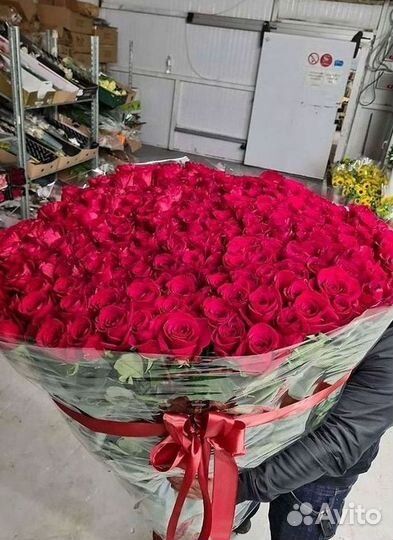 Длинные высокие розы 110 150 160 180 200 см