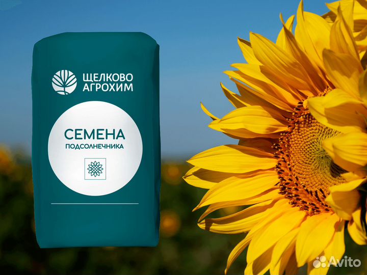 Семена подсолнуха Кречет