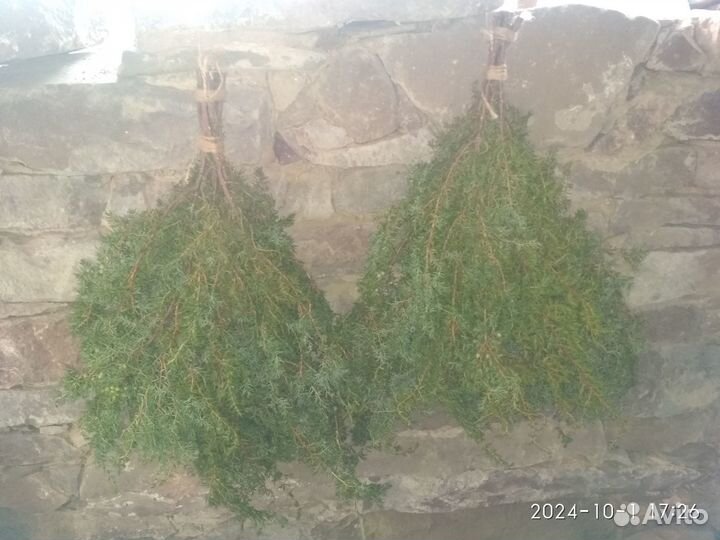 Веник берёзовый