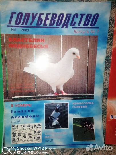 Журналы о голубях