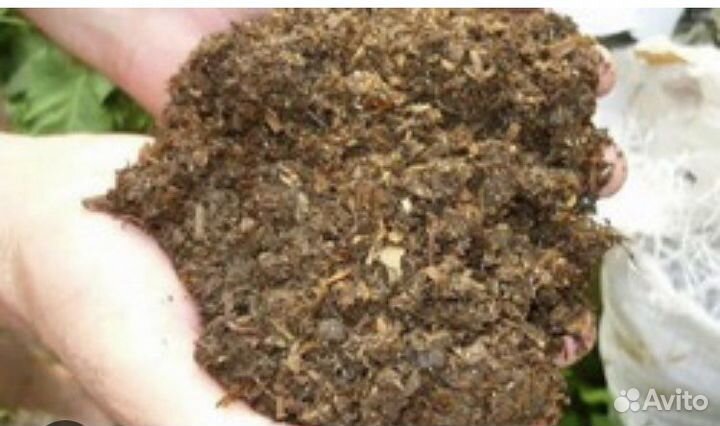 Конский навоз в мешках перегной доставка/самовывоз