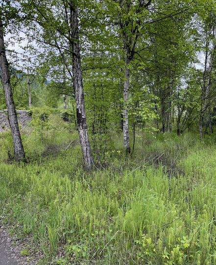 Участок 15,2 сот. (СНТ, ДНП)