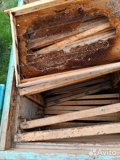 Ульи для пчел бу