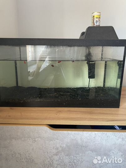 Аквариум