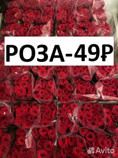 Розы оптом и в розницу. Цена реальная