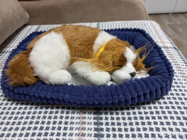 Игрушка- спящая собачка,храпит от батарееек