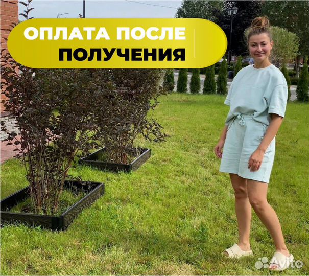 Грядки