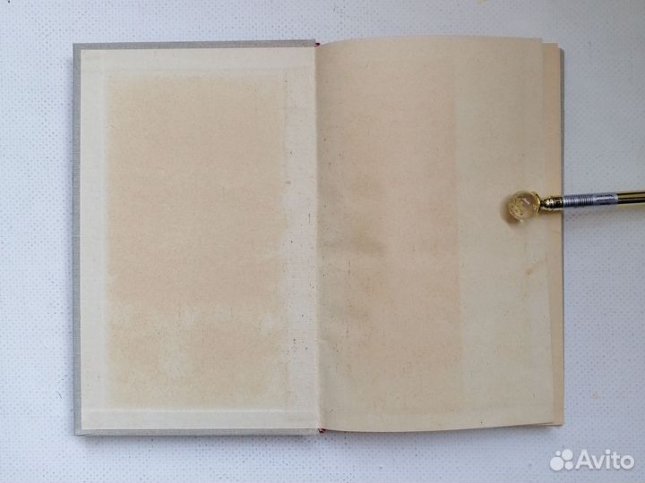 Маршал Тухачевский. Воспоминания друзей 1965