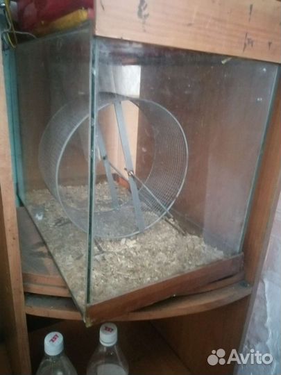 Клетки для грызунов