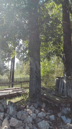 Участок 30 сот. (ИЖС)