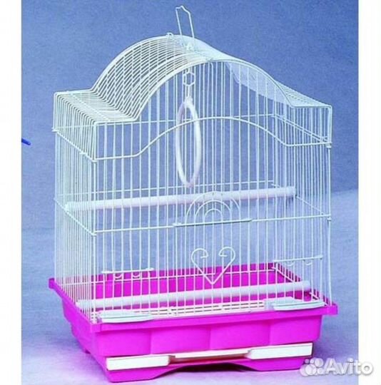 Птенцы волнистого попугая