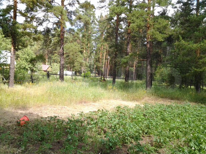 Участок 25 сот. (ИЖС)