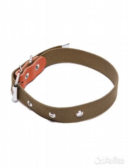Ошейник брезентовый (для средних собак)