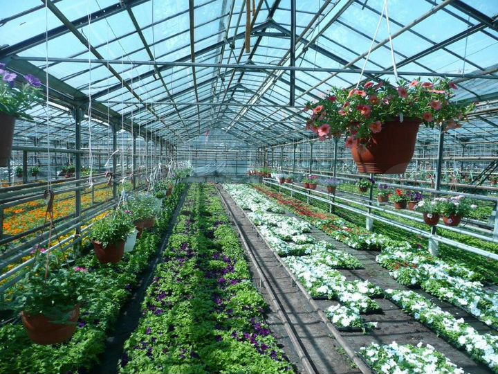 Теплица 1000 м²