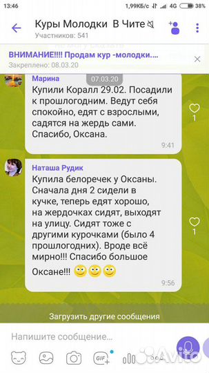 Куры молодки ) район Рахова