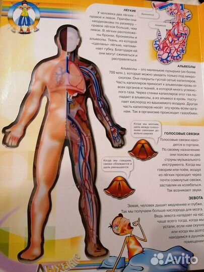 Энциклопедия 