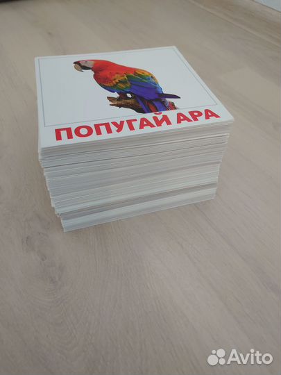 Набор развивающих карточек