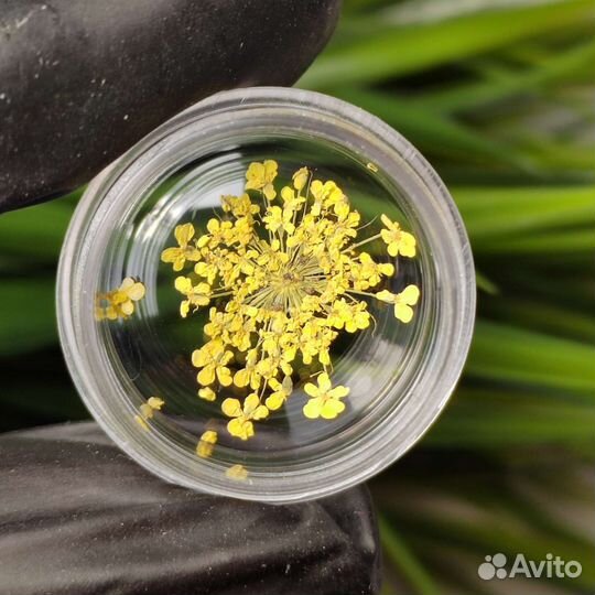 Сухоцветы для дизайна ногтей