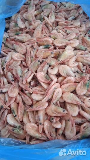 Креветки северные 300+