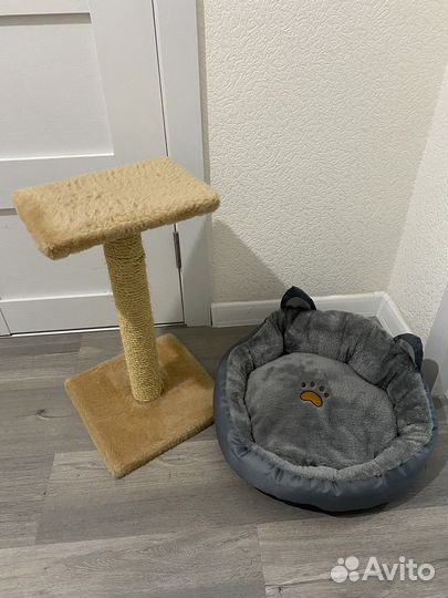 Когтеточка и лежанка для котейки