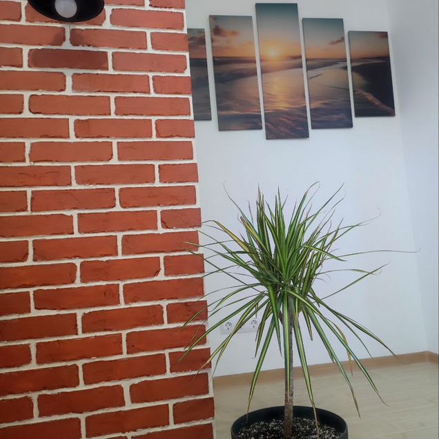 2-к. квартира, 62 м² (Абхазия)