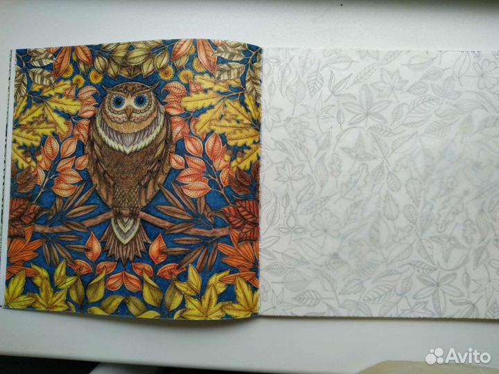 Раскраска Таинственный сад