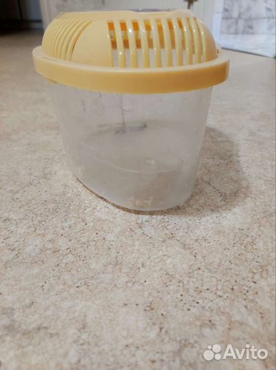 Домик переноска для черепахи и др мелких питомцев