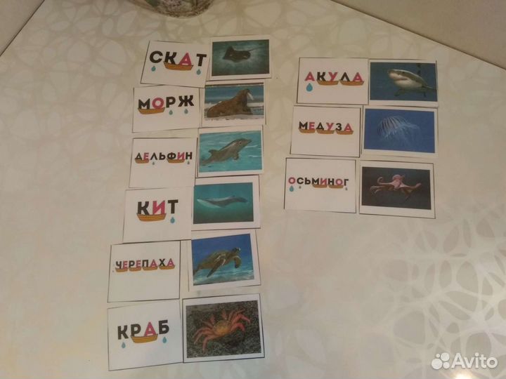 Подготовка к школе. Чтение.Устный счёт