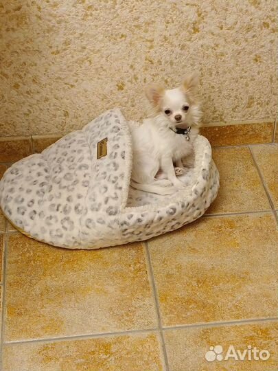 Лежанка домик для собак мелких пород