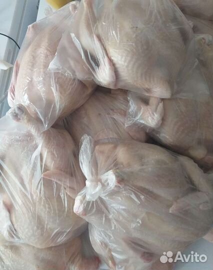 Мясо домашней курицы бройлер