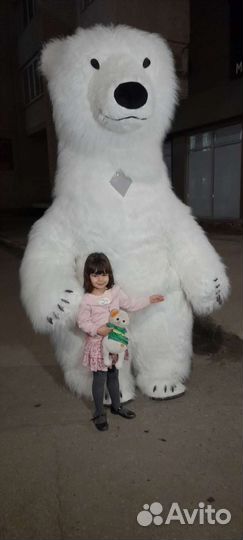 Поздравление белого медведя, панды