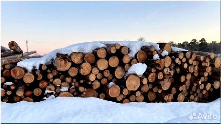 Дрова береза колотые