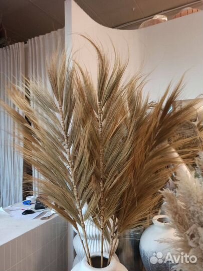 Сухоцветы натуральная тропическая пампасная трава