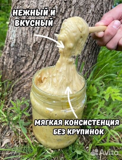 Дикий бортевой мед + доставка и 2 меда в подарок