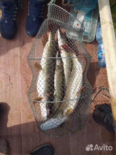 Охота -рыбалка