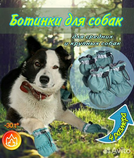 Ботинки обувь для собак