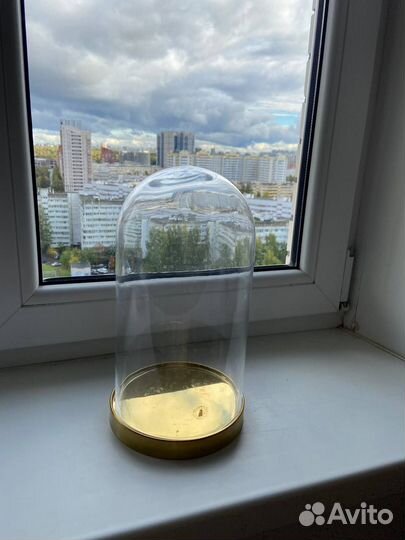 Begvning беговнинг Стеклянный клош 26см