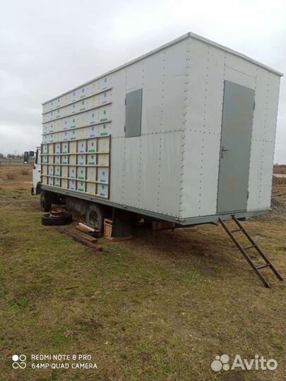 Пчелы, пчелопавильон, пасека