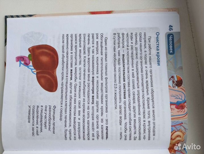 Детская энциклопедия росмэн